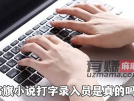 书旗小说打字录入员是真的吗？