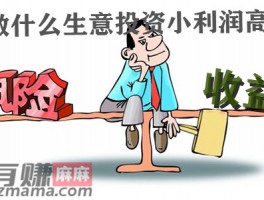 做什么生意投资小利润高？