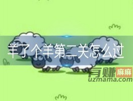 羊了个羊第二关怎么过？揭秘这些技巧、攻略、外挂是真的吗？