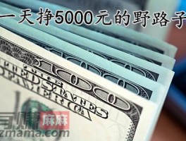 一天挣5000元的野路子