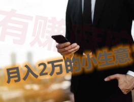 要去哪里找月入2万的10个小生意？