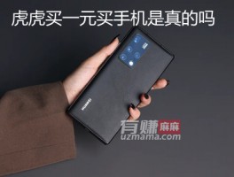 虎虎买一元买手机是真的吗