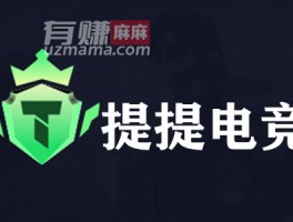 提提电竞真的可以赚钱吗
