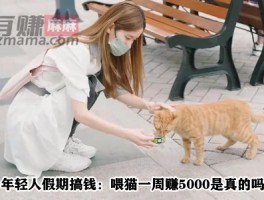 年轻人假期搞钱：喂猫一周赚5000是真的吗？