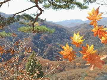 征途漫漫，因你平坦