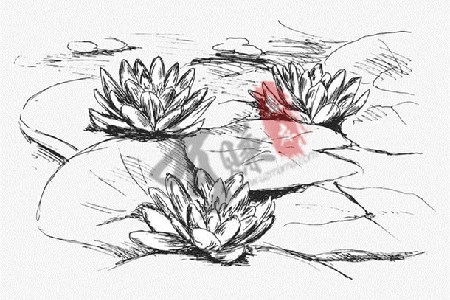 我心中的那一方荷塘.jpg