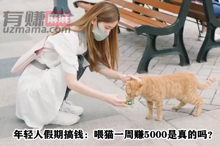 年轻人假期搞钱：喂猫一周赚5000是真的吗？