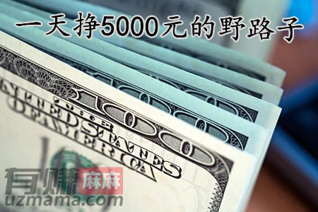 一天挣5000元的野路子